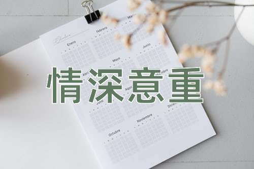 成语情深意重