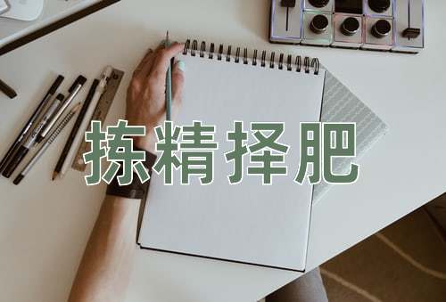 成语拣精择肥