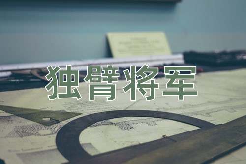 成语独臂将军